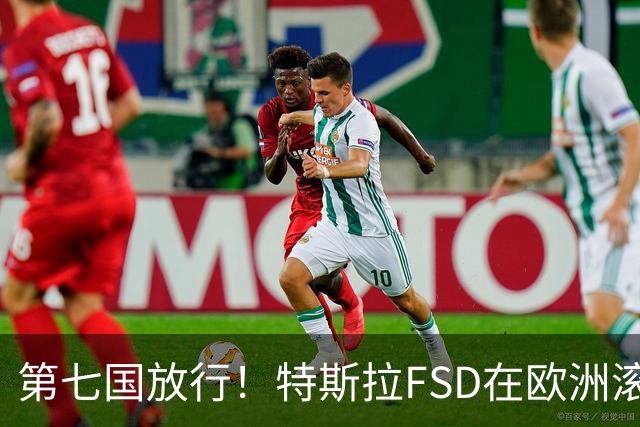 第七国放行！特斯拉FSD在欧洲滚起雪球，捷克车主等来v14